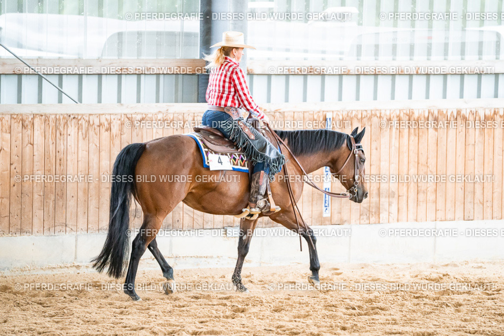 DSC00387 | Pferdegrafie