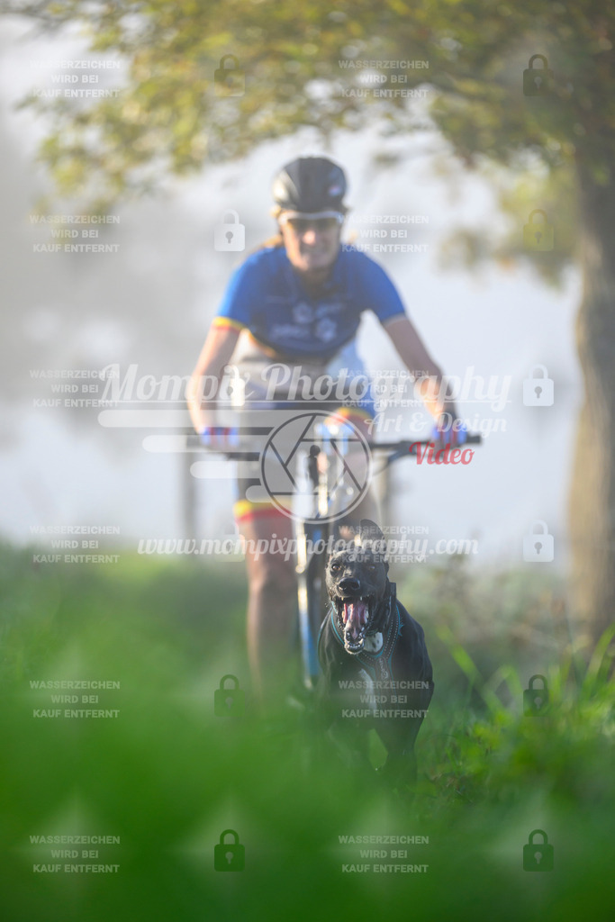 MompixPhotography_20TSB_E3_Bike-63 | PayLife