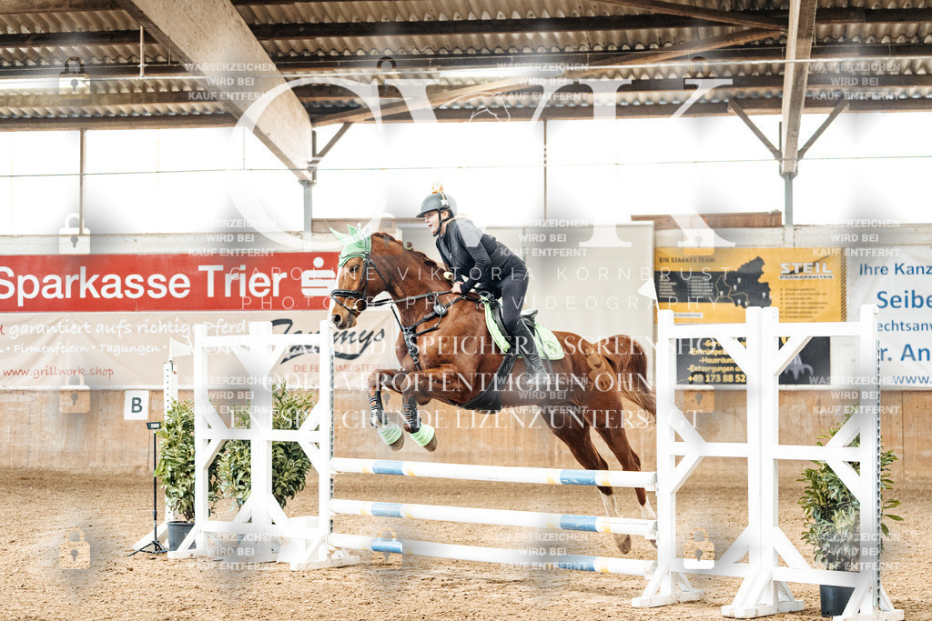 CK905448 | Turnierfotografie Pferdefotografie Trier Rheinland-Pfalz Pferdesport Reitsport Tierfotografie Sportfotografie Pferdevideo Pferdevideografie Equestrianvideography equestrianphotography  - Realisiert mit Pictrs.com