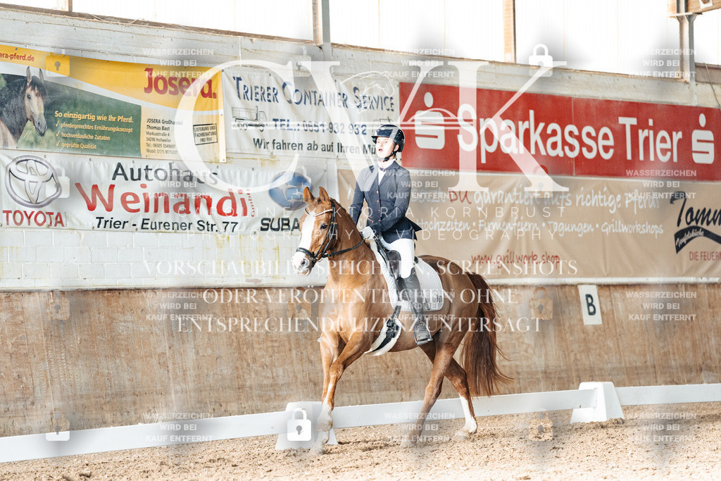 CK903036 | Turnierfotografie Pferdefotografie Trier Rheinland-Pfalz Pferdesport Reitsport Tierfotografie Sportfotografie Pferdevideo Pferdevideografie Equestrianvideography equestrianphotography  - Realized with Pictrs.com