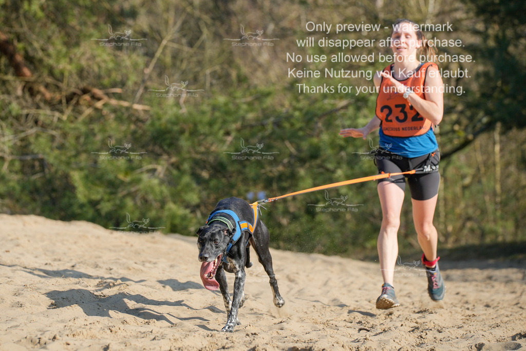 So_CC_lang-194 | stephaniefillaphotographie - Realisiert mit Pictrs.com