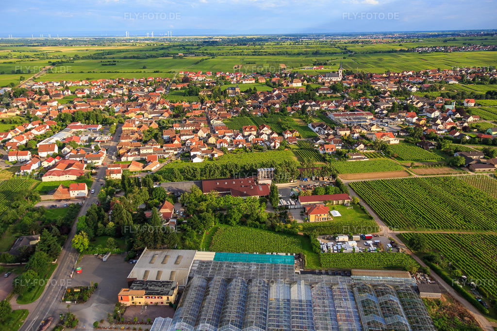Luftbild: Ortsansicht aus Norden mit Gartencenter Edesheim GmbH in Edesheim im Bundesland Rheinland-Pfalz in Deutschland. Foto: IMG_090135.jpg vom 26.06.2016 durch Werner Riehm/FLY-FOTO.deFrühling gibt es bei uns! Bei Ihrem GCE !