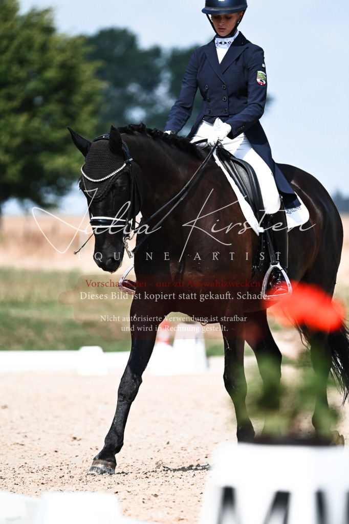 DSC_3141 | Pferde- und Turnierfotografie in Westsachsen. Pferdeportraits, Auftragszeichnungen und intuitive Kunst.