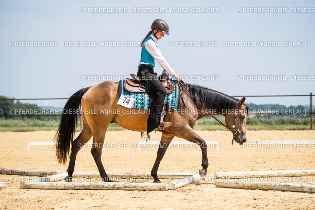 DSC01041 | Pferdegrafie