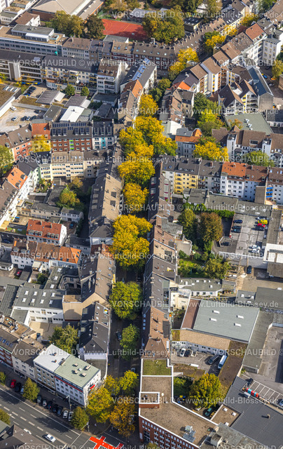 Dortmund231000812 | Luftbild, Herbstliche Bäume im Wohngebiet Gutenbergstraße, City, Dortmund, Ruhrgebiet, Nordrhein-Westfalen, Deutschland