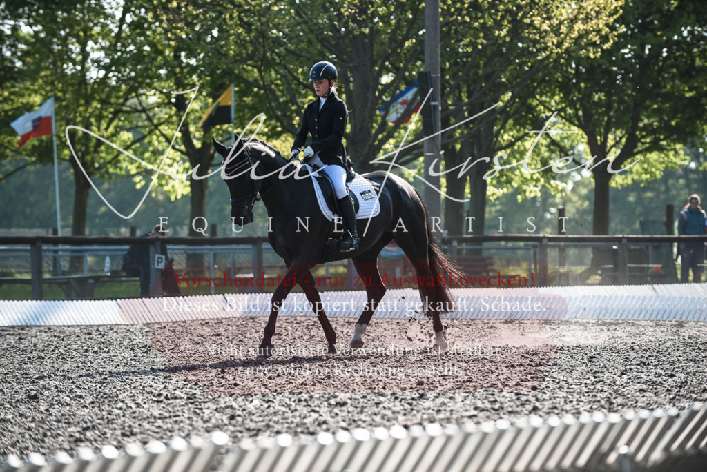 DSC_8315 | Pferde- und Turnierfotografie in Westsachsen. Pferdeportraits, Auftragszeichnungen und intuitive Kunst.