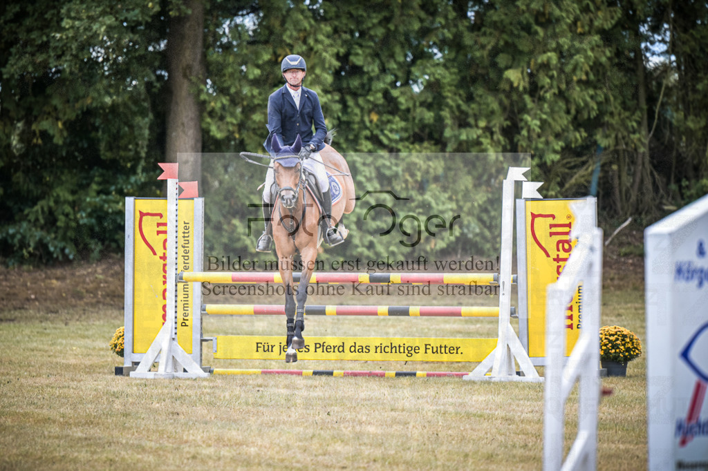 DOS_0373 | Entdecke hochwertige Reitturnierfotos von Foto Oger. Professionell, emotional und authentisch – jetzt Lieblingsmomente im Shop bestellen.Deutschlandweite Turnierfotografie. - Realisiert mit Pictrs.com