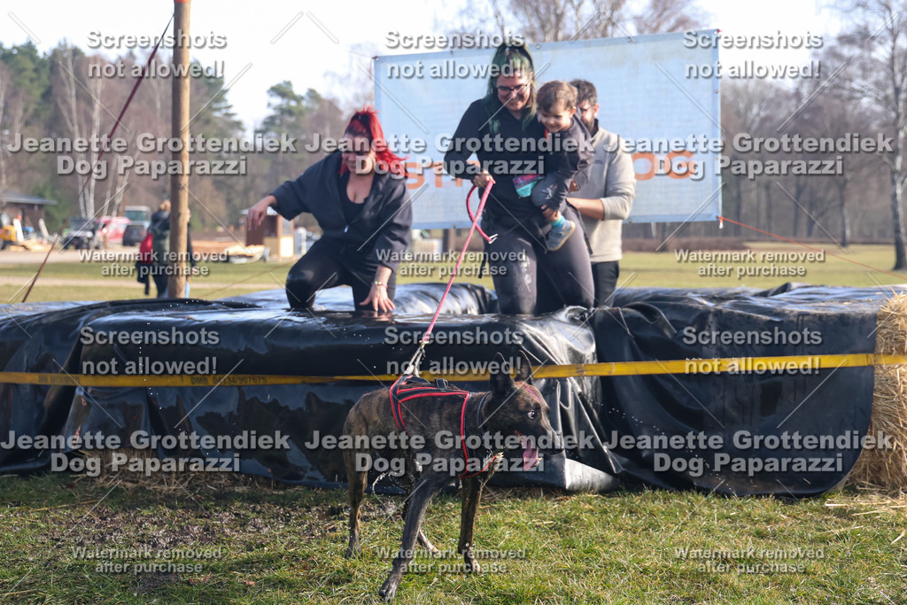 Dog Paparazzi - Strongdog North Mrz26-1029 | Dog Paparazzi Jeanette Grottendiek Fotografie & Videografie - Realisiert mit Pictrs.com