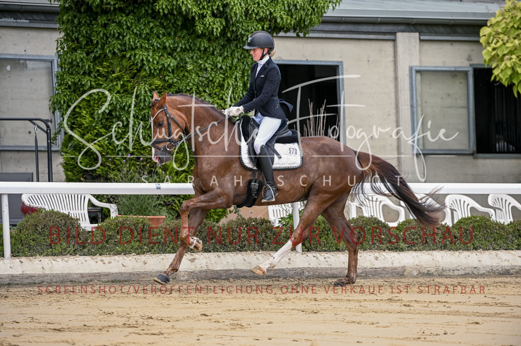 Schugtsche-Aluta25-48.Reitpferfdeprf.-100 | Schugtsche Fotografie - Realisiert mit Pictrs.com