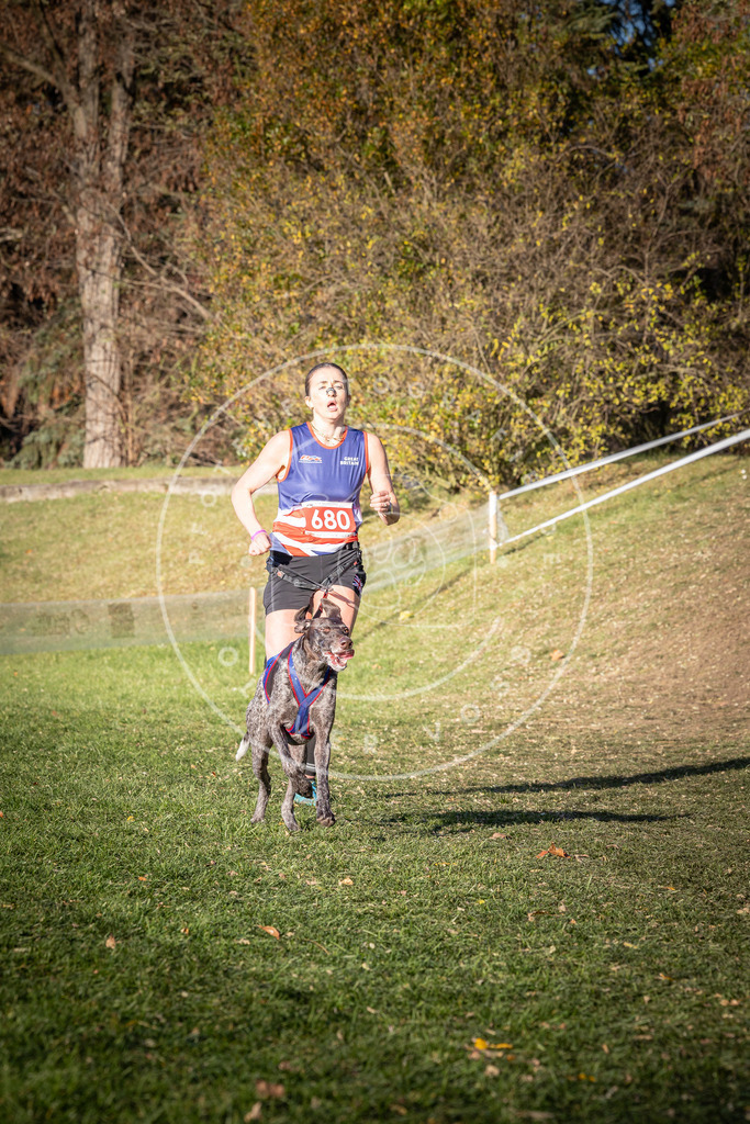 CaniXpix_0L8A9268 | Hundefotografie, Tierfotograf, Pfotenfotografie, Fotoshooting Hund, Hunde Portrait, Hundesport, Hundeportraits, Heideshooting, Hunde, Sportfotograf, Hundefotograf, Turnierhundsport, THS,  - Realisiert mit Pictrs.com