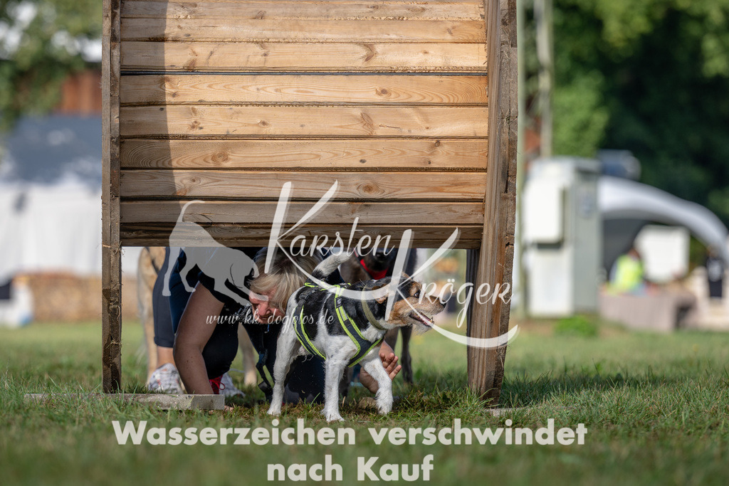1005_ZZ91596 | kk-dogfotos