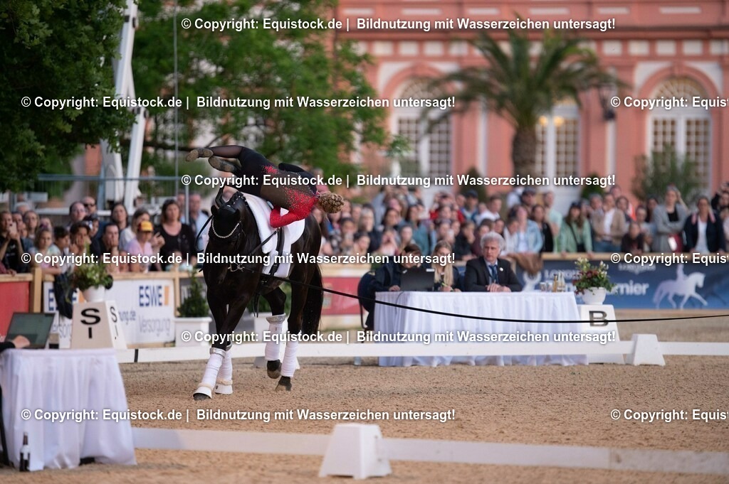 20230527_Voltigieren_NASPA_Flutlicht_0202 | equistock