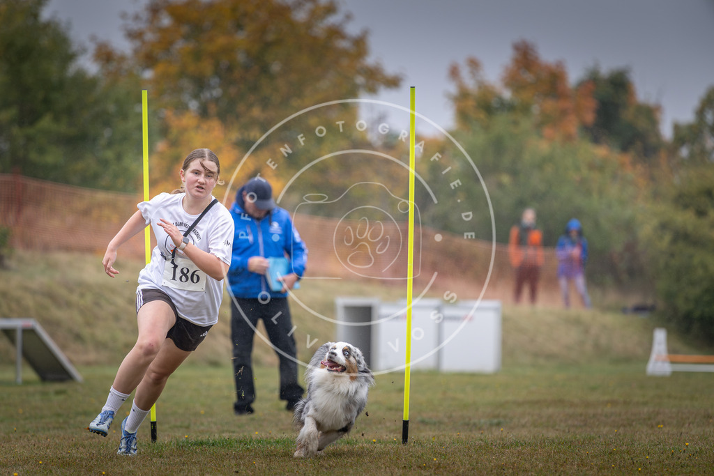 Pfotenfotografie_DV3A0124 | Hundefotografie, Tierfotograf, Pfotenfotografie, Fotoshooting Hund, Hunde Portrait, Hundesport, Hundeportraits, Heideshooting, Hunde, Sportfotograf, Hundefotograf, Turnierhundsport, THS,  - Realisiert mit Pictrs.com