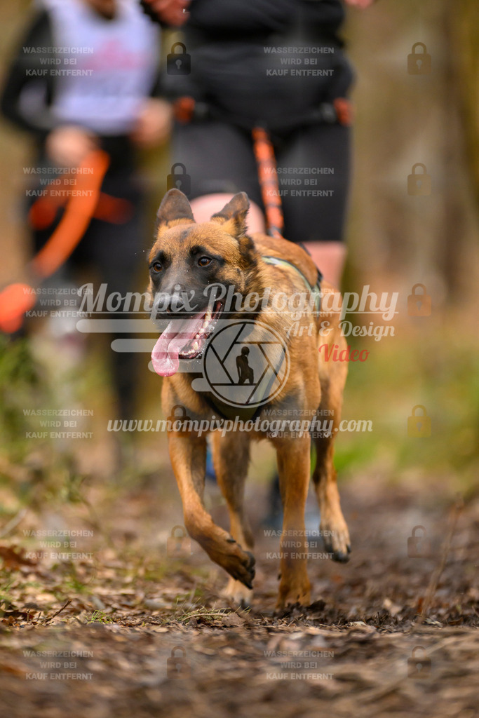 MompixPhotography_CDSM24_SA_Fun-3 | PayLife