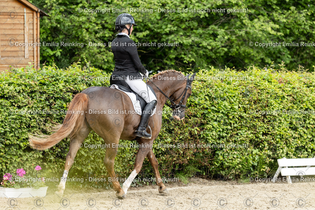 CL5A1295 | Emilia Reinking Fotografie - Realisiert mit Pictrs.com