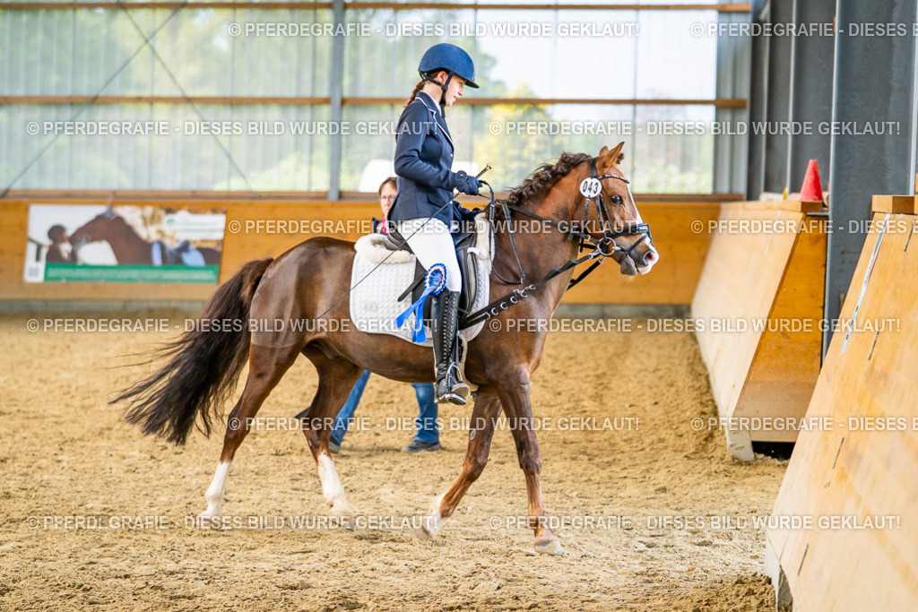 DSC03900 | Pferdegrafie