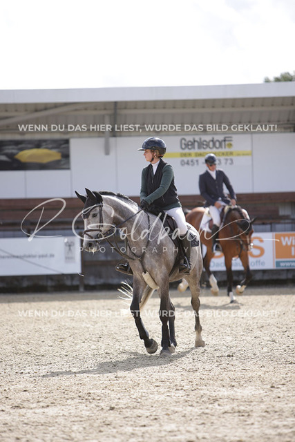 1J2A3071Peppi Pakarinen_ Carmen RD_ Kn121_ Havekost | Foto- und Videografie für alles rund ums Pferd. Hochwertige Bilder und Videos vom Spring- und Dressurreiten, Voltigieren & mehr. Jetzt aktuelle Veranstaltungen und Preise im Shop ansehen. - Realisiert mit Pictrs.com