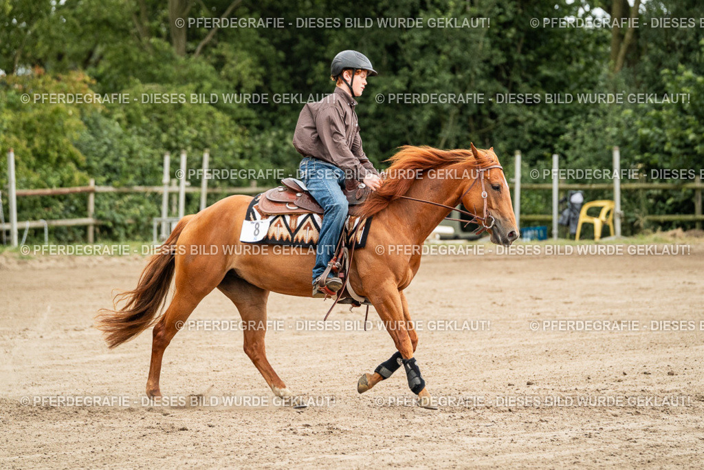 DSC04849 | Pferdegrafie