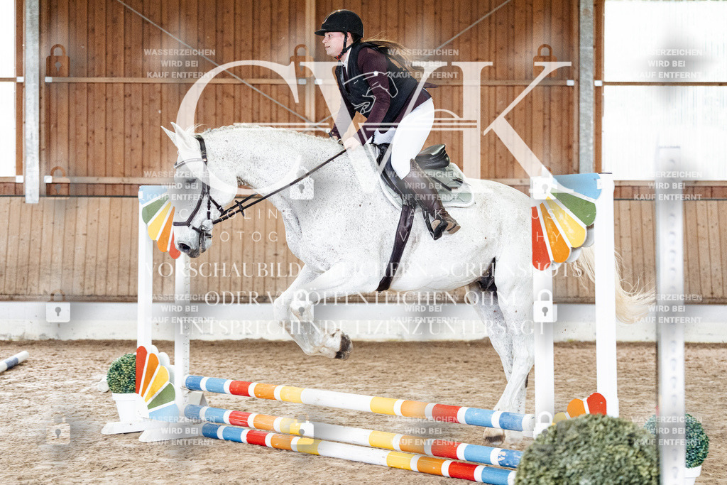 CK902848 | Turnierfotografie Pferdefotografie Trier Rheinland-Pfalz Pferdesport Reitsport Tierfotografie Sportfotografie Pferdevideo Pferdevideografie Equestrianvideography equestrianphotography  - Realisiert mit Pictrs.com