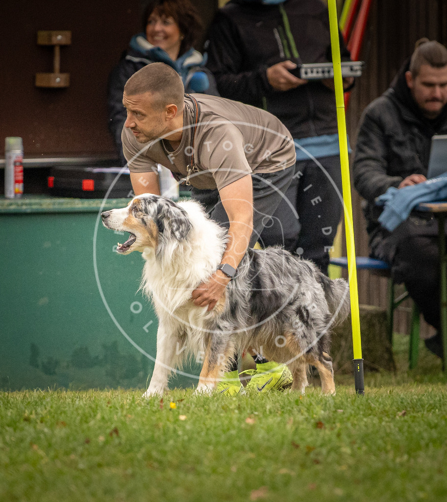 Pfotenfotografie_DV3A7337 | Hundefotografie, Tierfotograf, Pfotenfotografie, Fotoshooting Hund, Hunde Portrait, Hundesport, Hundeportraits, Heideshooting, Hunde, Sportfotograf, Hundefotograf, Turnierhundsport, THS,  - Realisiert mit Pictrs.com