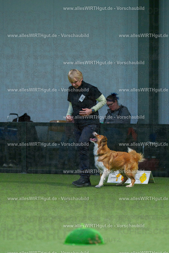 7R500708 | Professionelle Tierfotografie in Mönchengladbach von Daniel Wirth (allesWIRTHgut). Liebevolle & natürliche Bilder von Hunden & Katzen für unvergessliche Erinnerungen.