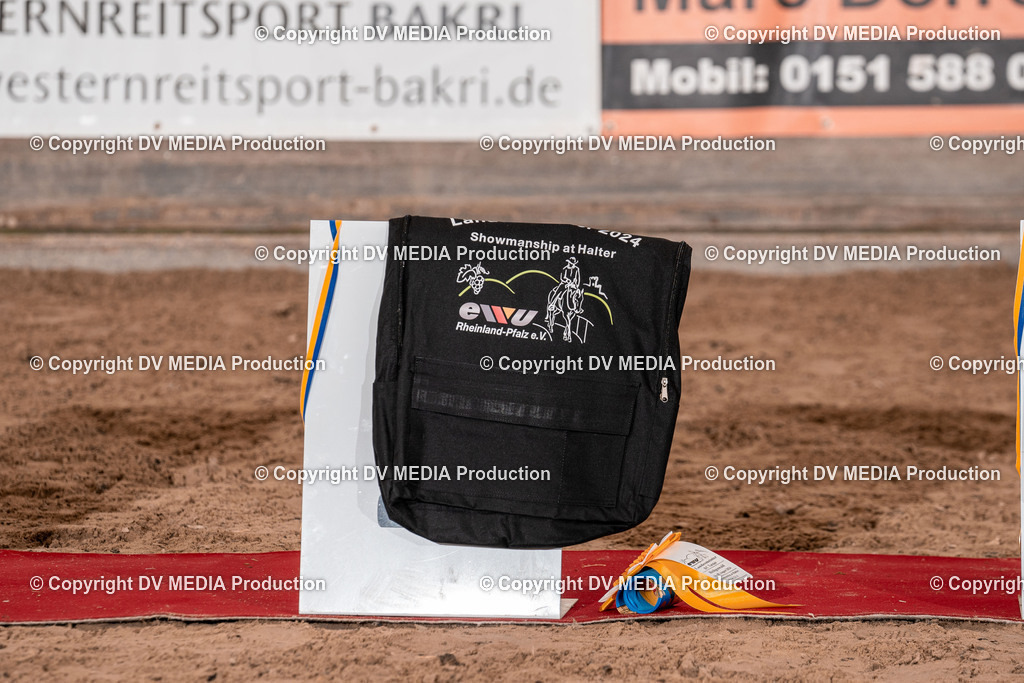 LM Heiligenwald Tag 1-393 | dv-media-shop - Realisiert mit Pictrs.com