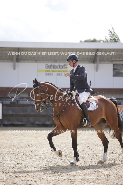 1J2A2997Andreas Erni_ Caloubet 6_ Kn092_ Havekost | Foto- und Videografie für alles rund ums Pferd. Hochwertige Bilder und Videos vom Spring- und Dressurreiten, Voltigieren & mehr. Jetzt aktuelle Veranstaltungen und Preise im Shop ansehen. - Realisiert mit Pictrs.com