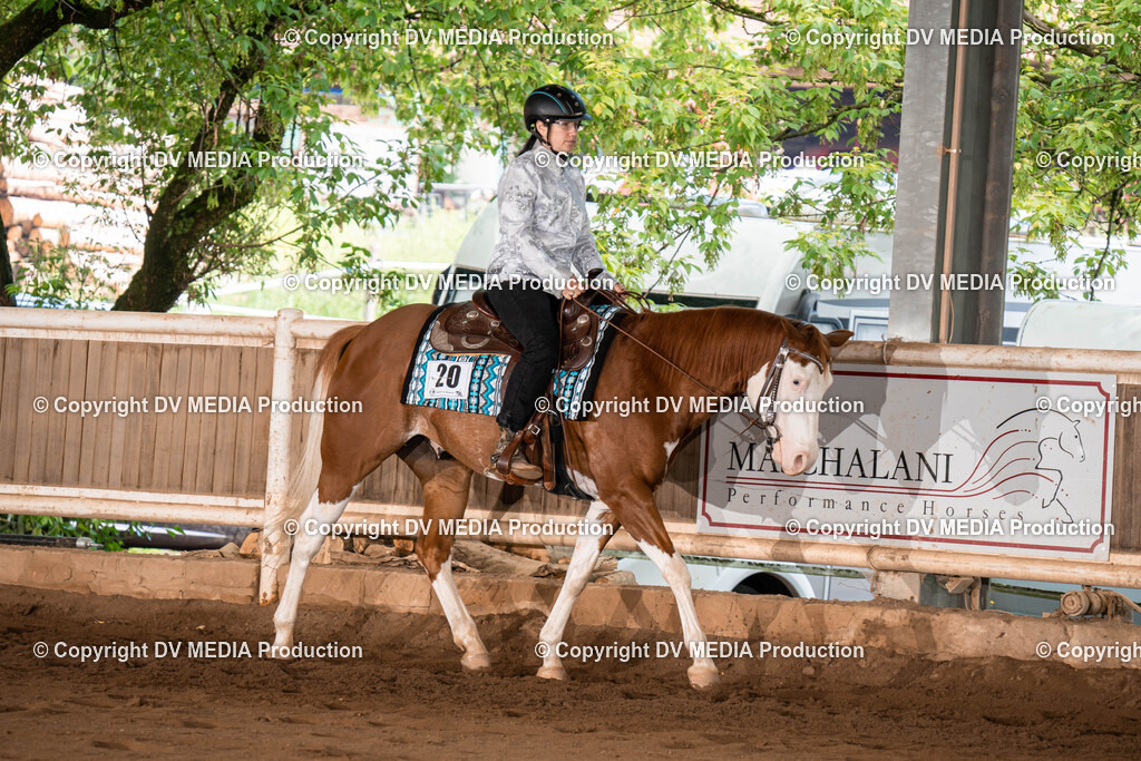 Erbach Tag 1-239 | dv-media-shop - Realisiert mit Pictrs.com