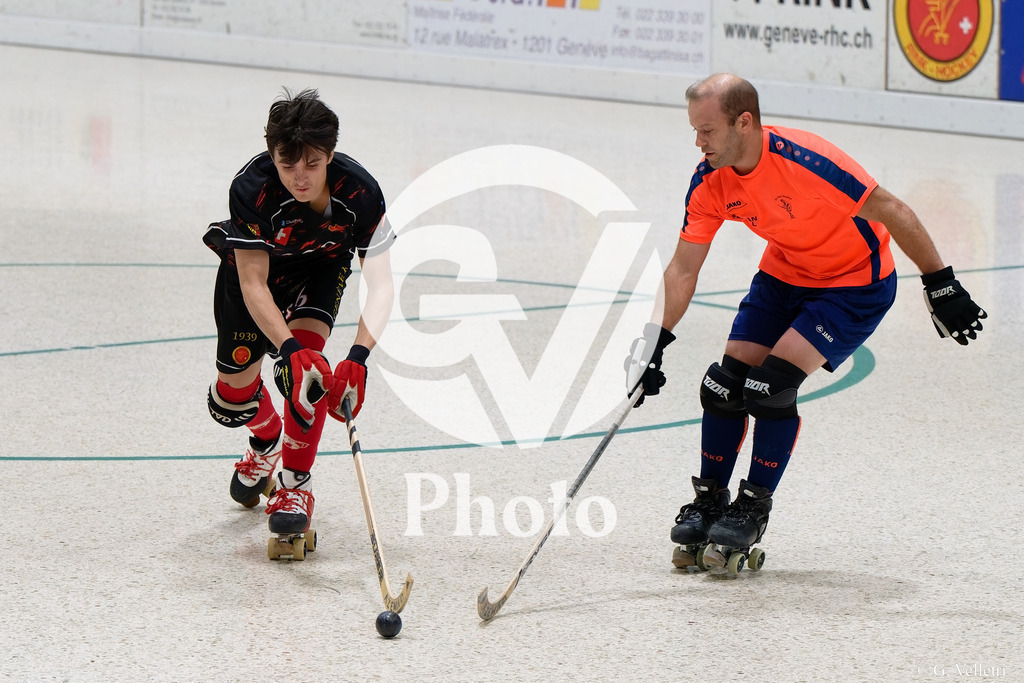 DSC_2561 | Velletri Photo