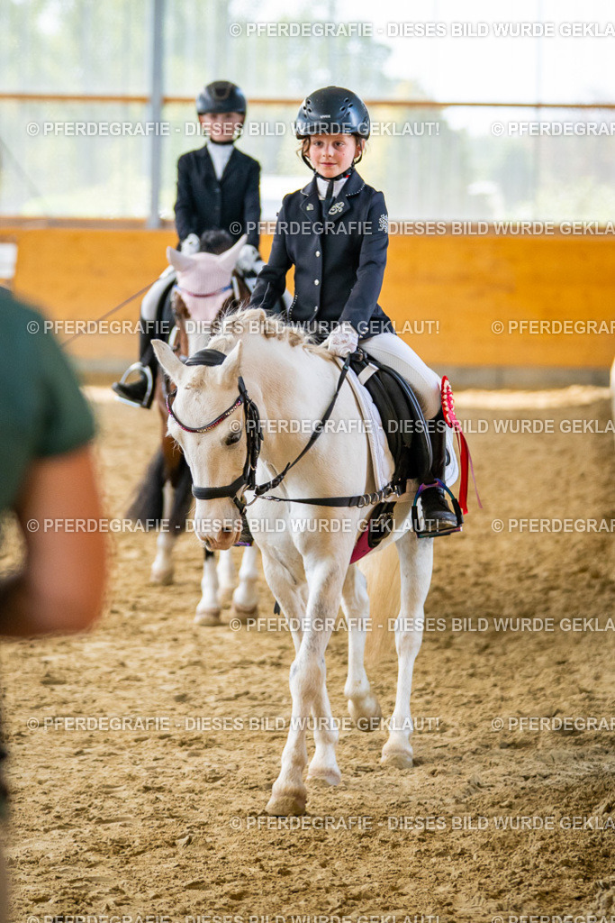 DSC01242 | Pferdegrafie