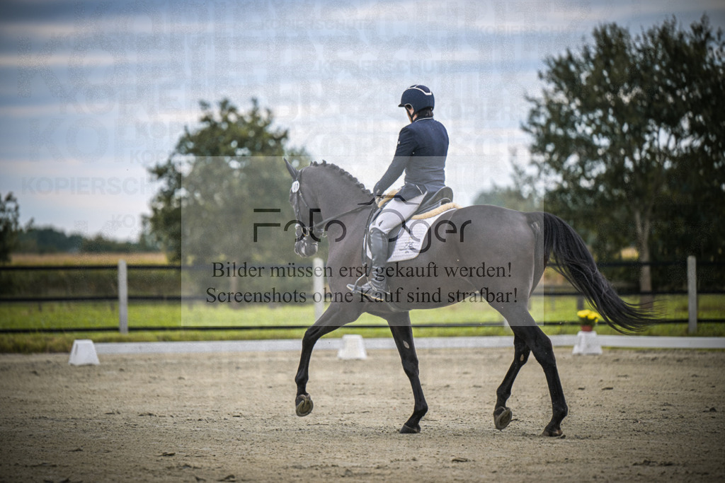 DOS_0433 | Entdecke hochwertige Reitturnierfotos von Foto Oger. Professionell, emotional und authentisch – jetzt Lieblingsmomente im Shop bestellen.Deutschlandweite Turnierfotografie. - Realisiert mit Pictrs.com