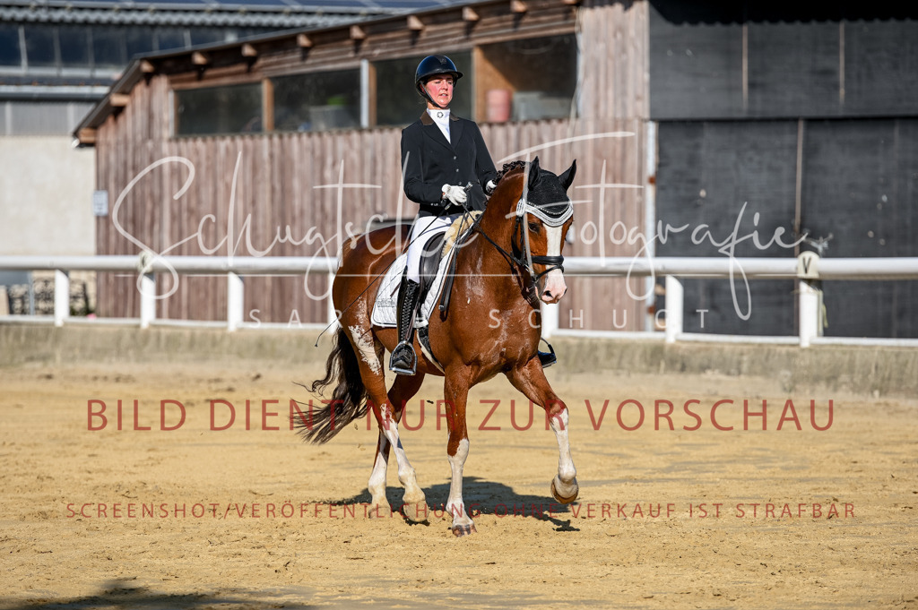 Schugtsche-Aluta25-51.Dressurpferdeprf.M-71 | Schugtsche Fotografie - Realisiert mit Pictrs.com
