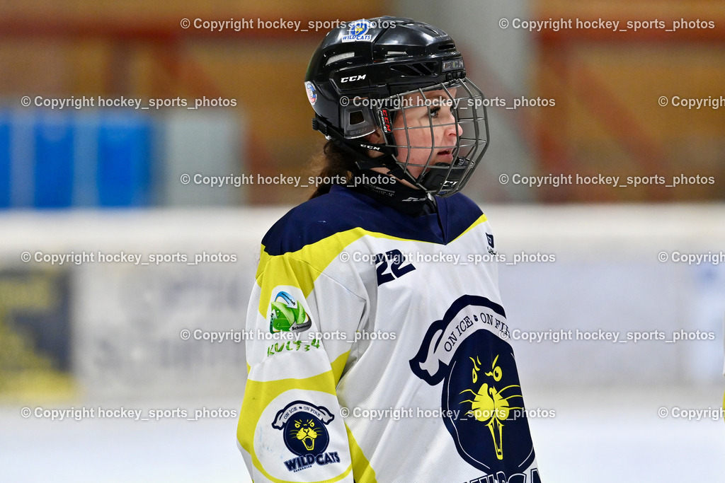 Wildcats Paternion vs. Lady Hawks  | #22 Oberrauner Franziska WILDCATS PATERNION, Wildcats Paternion vs. Lady Hawks , Wildcats Paternion vs. Lady Hawks  am 27.01.2025 in Spittal an der Drau (Eissportzentrum Spittal), Austria, (Photo by Bernd Stefan)