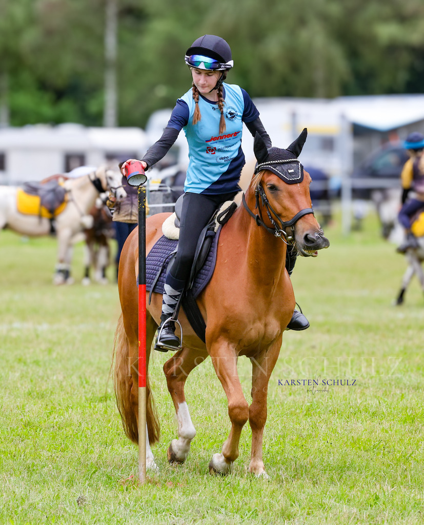 1B3A0327 | Reitsport Reiten
