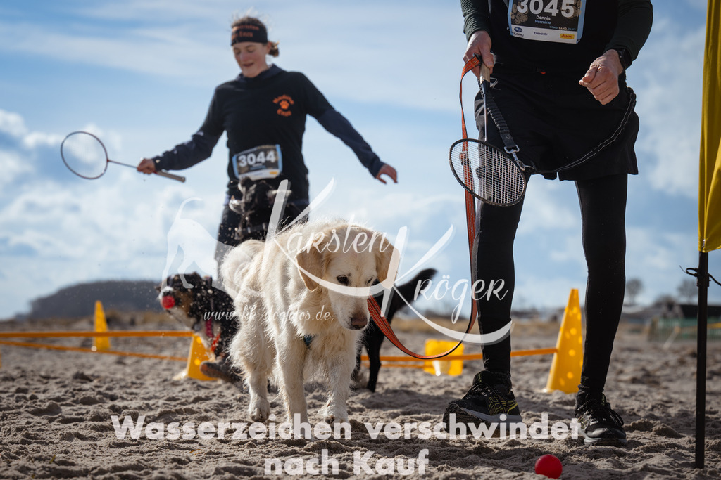 1319_ZZ91365 | kk-dogfotos