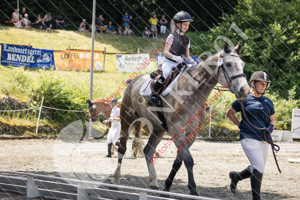 IMG_3556 | Sport-, Event- und Tierfotos in Profiqualität. Einfach auswählen, bestellen und herunterladen. Dein Moment – perfekt festgehalten.