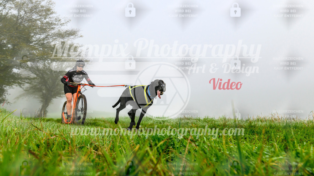 MompixPhotography_20TSB_E5_DS1-55 | PayLife