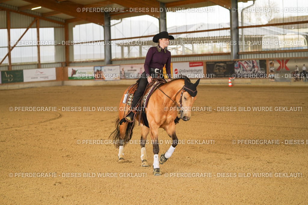 DSC00490 | Pferdegrafie