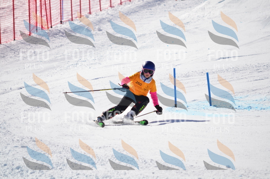 C8503 | holidayphoto