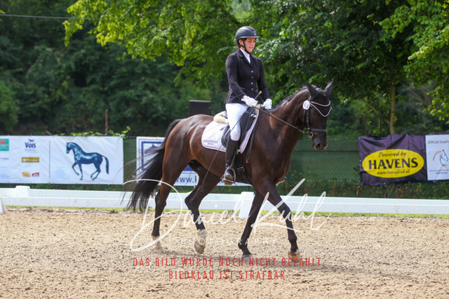 DKP42027 | Turniersportfotografie; Pferdefotografie; Dressurfotografie