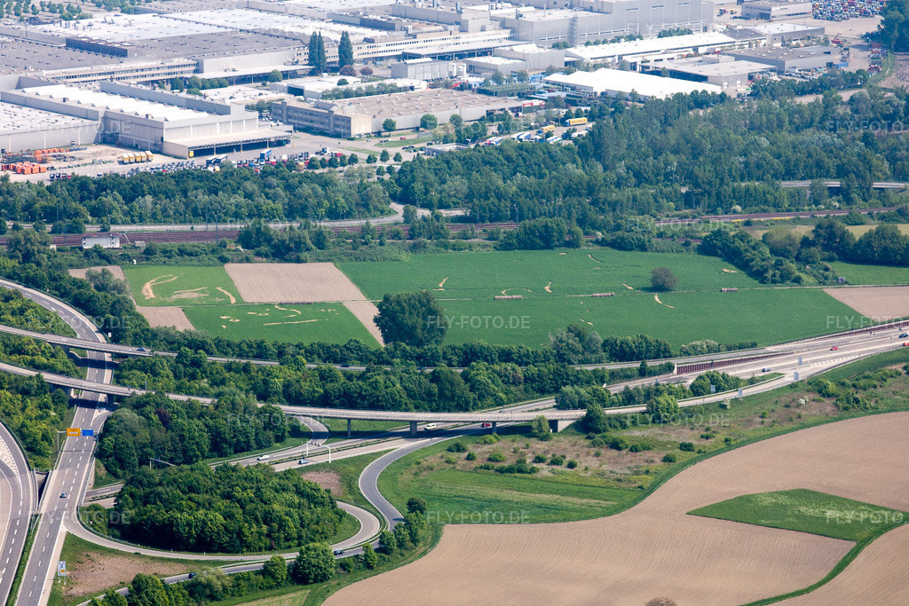 Luftbild: Wörth am Rhein, Wörther Kreuz im Ortsteil Maximiliansau in Wörth im Bundesland Rheinland-Pfalz in Deutschland. Foto: IMG_18200.jpg vom 03.05.2009 durch Werner Riehm/FLY-FOTO.de