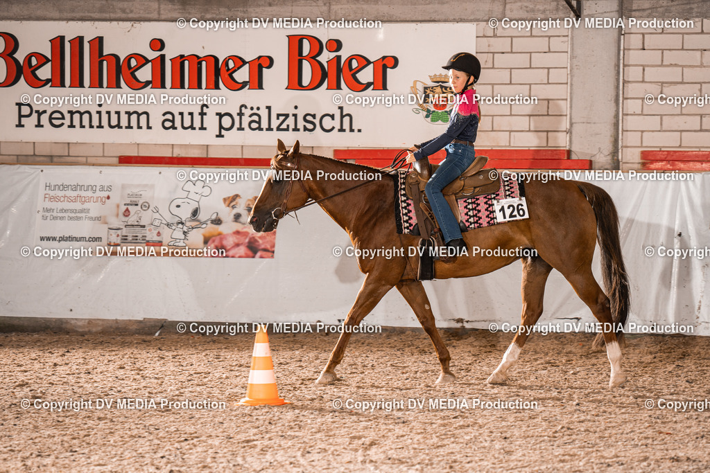 ZH200303 | dv-media-shop - Realisiert mit Pictrs.com