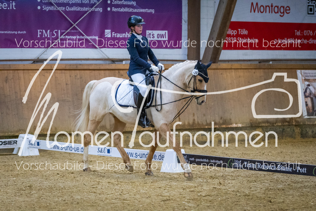 Sth-WBO25-DrR-066 | MomenTaufnahmen Pferdesportfotos