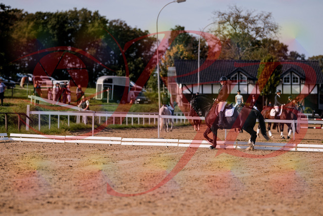 2026_10_03_Siefer-Hof_120635_Z81_07392880 | Professionelle Reitsport-, Turnier- und Eventfotografie von Robert Broda. Galerien mit ausgewählten und bearbeiteten Bildern direkt online ansehen und bestellen.