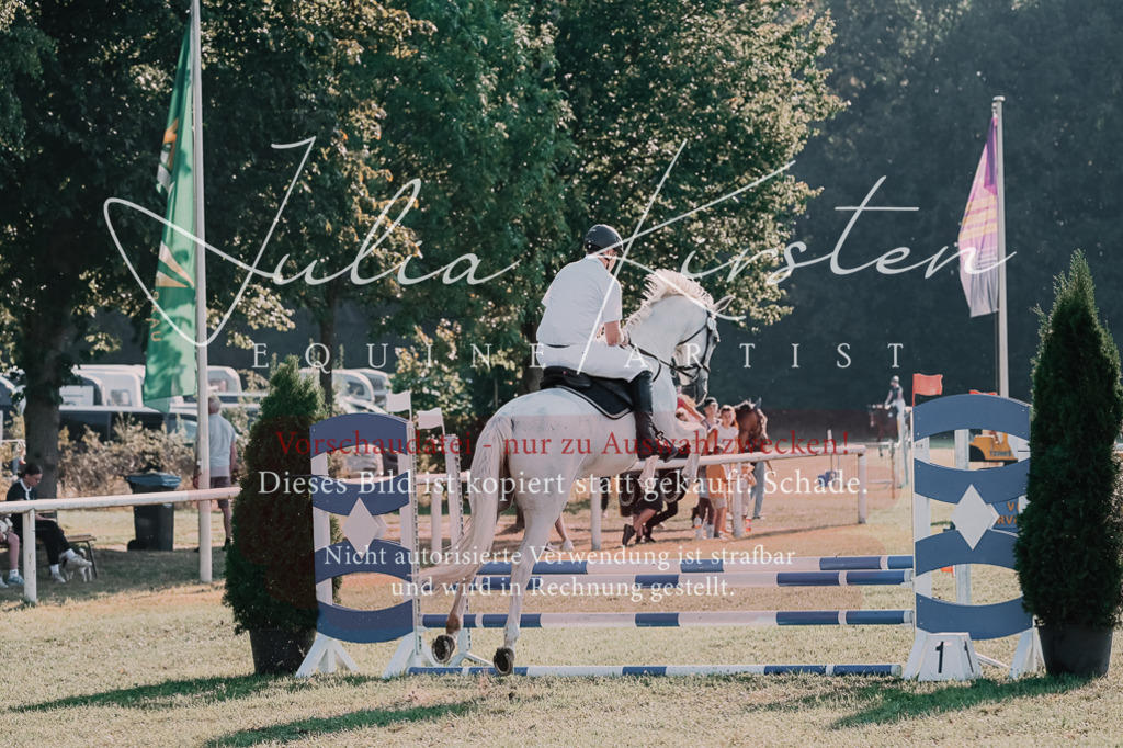 DSC_4551 | Pferde- und Turnierfotografie in Westsachsen. Pferdeportraits, Auftragszeichnungen und intuitive Kunst.