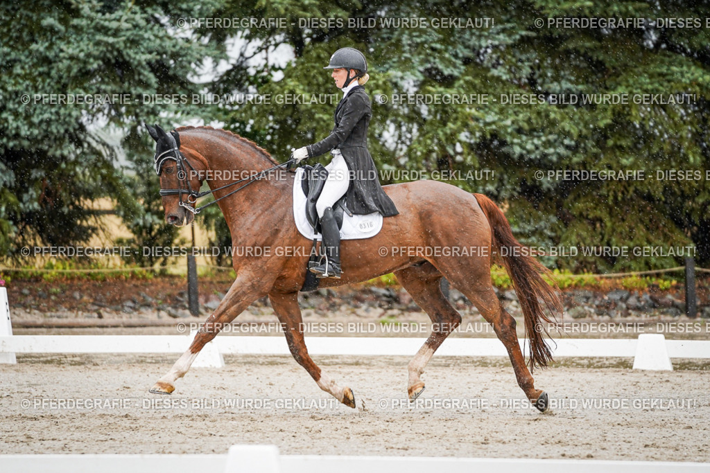 DSC09265 | Pferdegrafie