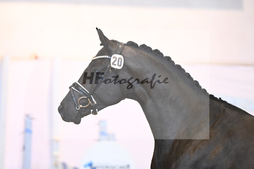 Kat-Nr. 20 v. Marc Cain_Seiler_6240449 | hf-fotografie - Realisiert mit Pictrs.com