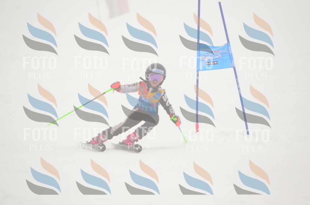 C1472 | holidayphoto