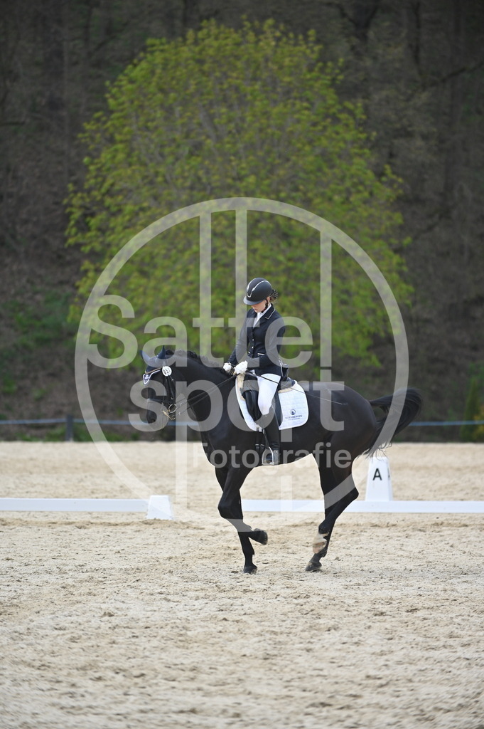 DSC_5269 | sattelsport - Realisiert mit Pictrs.com