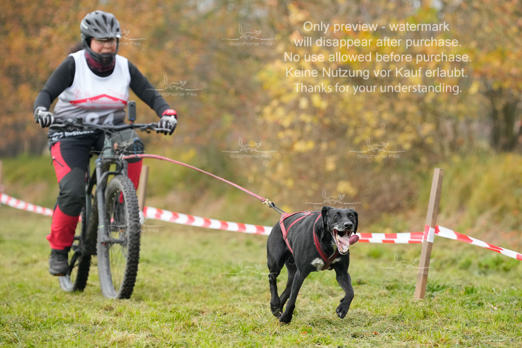 Visbeck_Sa_Bike-292 | stephaniefillaphotographie - Realisiert mit Pictrs.com